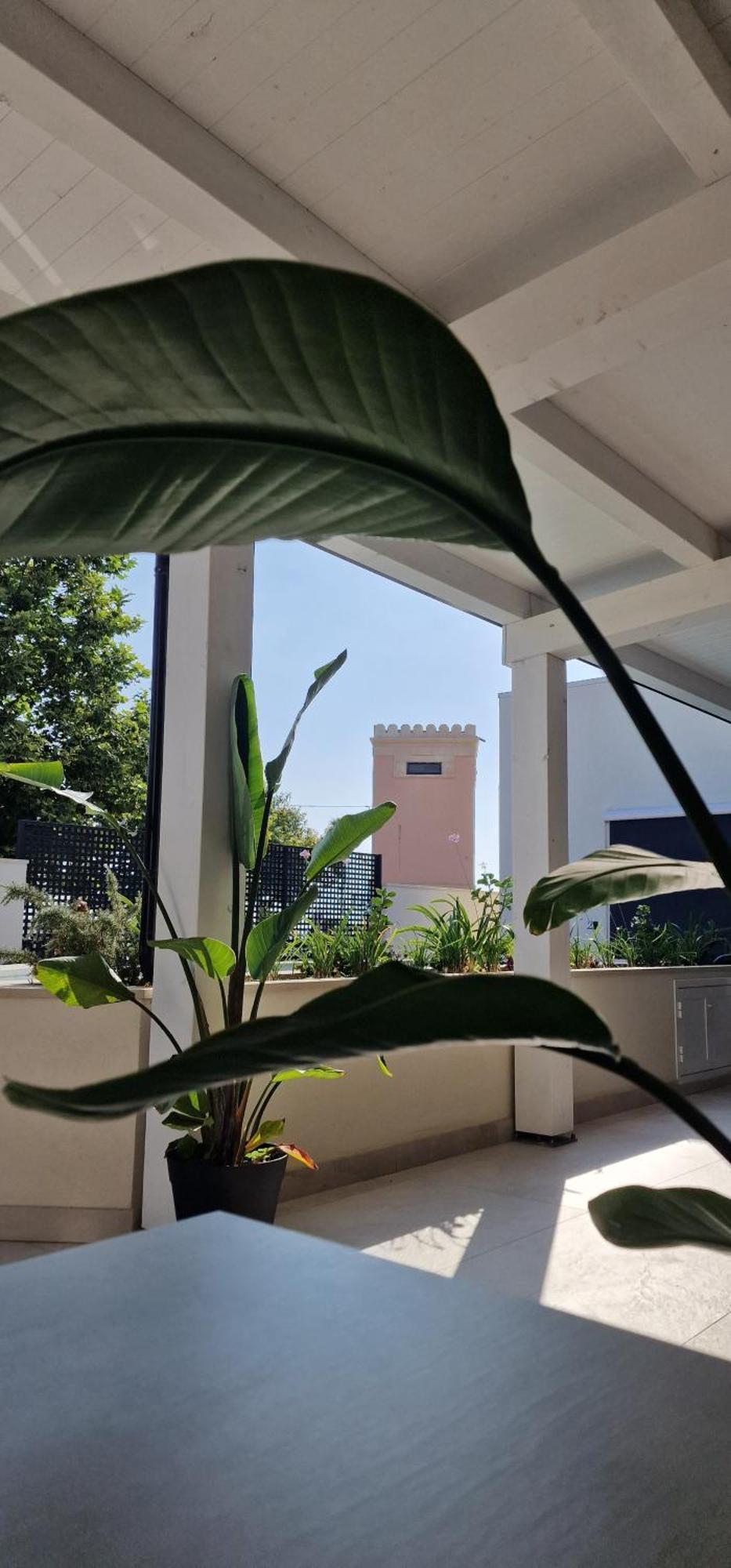 Thalassa Rooms Avola Bagian luar foto